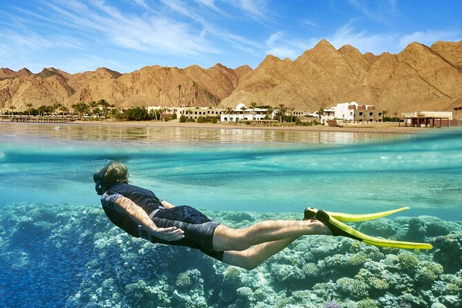 Full Relaxing Day To The Red Sea From Cairo Or Giza Hotel - What your resort day actually includes