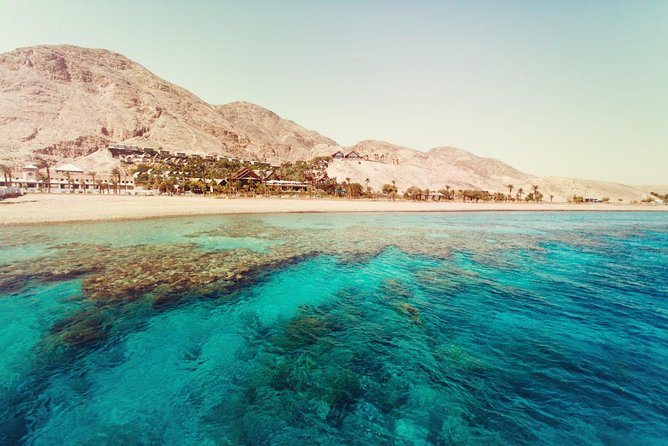 Full Relaxing Day To The Red Sea From Cairo Or Giza Hotel - How much value you get for $63