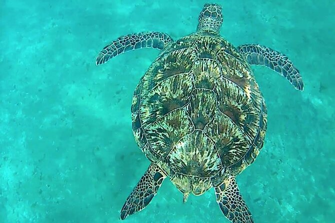 Giftun Island ( Orange bay ) from Hurghada - Lunch, drinks, and water activities