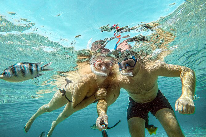Giftun Islands Snorkeling Trip with Lunch and Water Activities - Timing, comfort, and what to bring