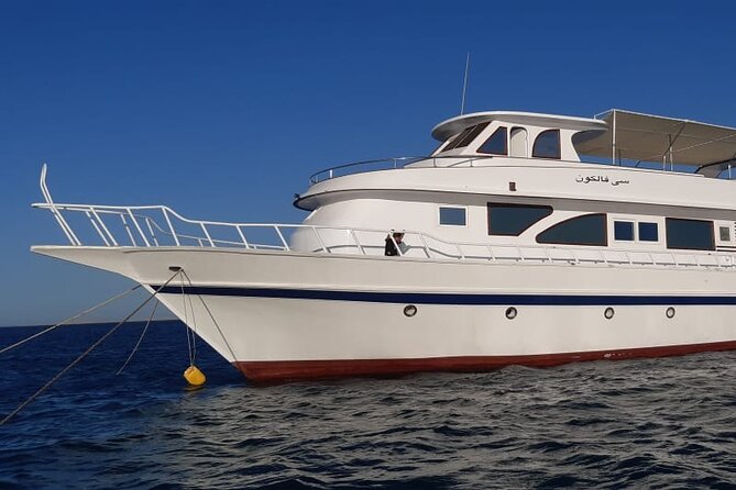 Giftun Islands Snorkeling Trip with Lunch and Water Activities - How to handle the common weak spots