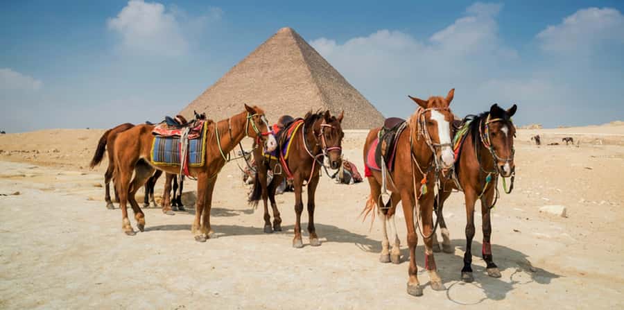 Giza: Arabian Horse Tour Around the Giza Pyramids - The Great Sphinx from outside the complex