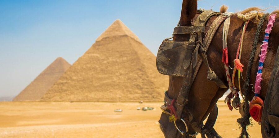 Giza: Arabian Horse Tour Around the Giza Pyramids - What is included and what you still pay for