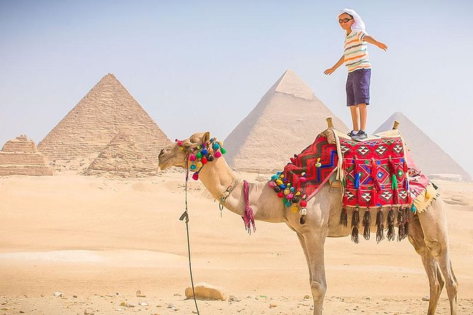 Giza Pyramids and Sakkara Tour - The Great Sphinx in a compact half-hour