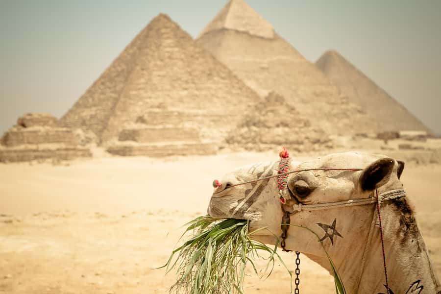 Giza Pyramids and Sphinx: Half-Day Private or Group Tour - Timing, food, and what to bring