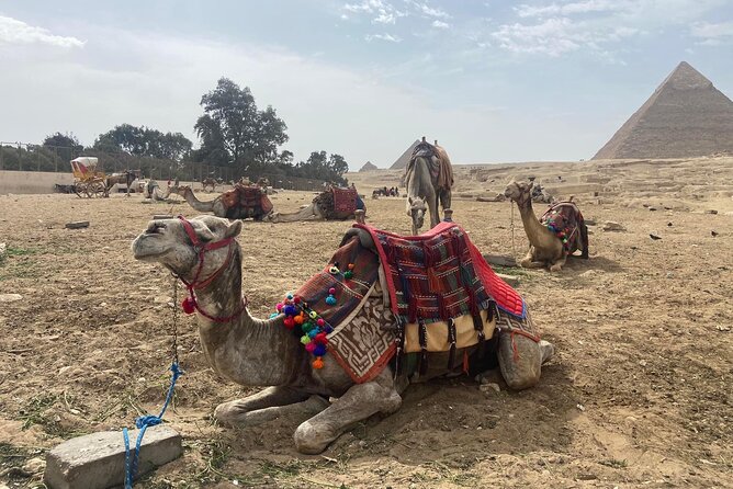 Giza Pyramids,Sphinx,Camel Ride,ATV Bike,Shopping, Dinner cruise - One Hour on a Quad Bike Around Giza