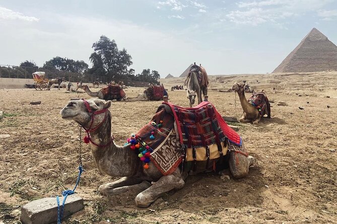 Giza Pyramids,Sphinx,Camel Ride,ATV Bike,Shopping, Dinner cruiseI - The Giza Plateau photo stop