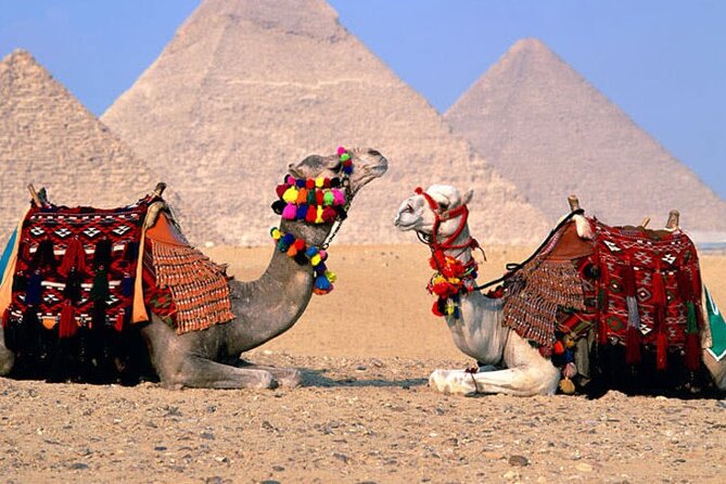 Giza Pyramids, Sphinx, Memphis, Saqqara, with private tour guide - Saqqara shows how pyramid design developed