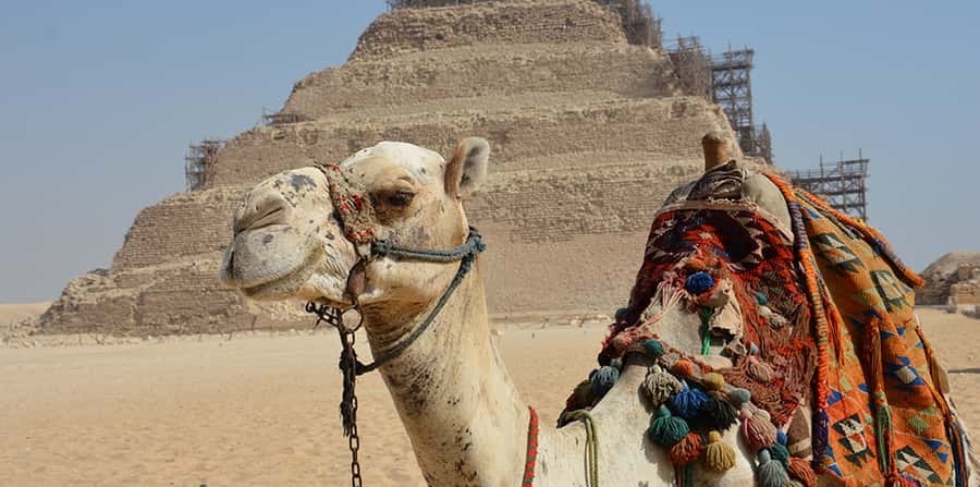 Giza: Sakkara, Memphis & Dahshur (Pyramid & Felucca Options) - Adding the Pyramids of Giza