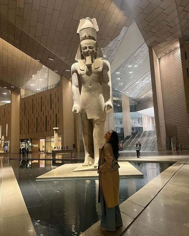 Grand Egyptian Museum Private Guided Tour(GEM) - Guide language and audio support