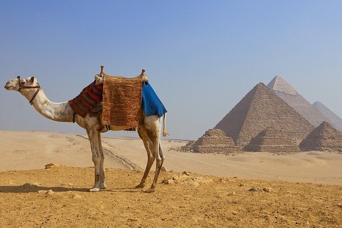 Half day at the pyramids and the Sphinx - Key points to know before booking
