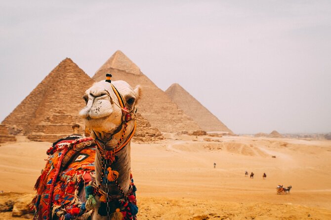 Half day at the pyramids and the Sphinx - Who should choose this Giza tour