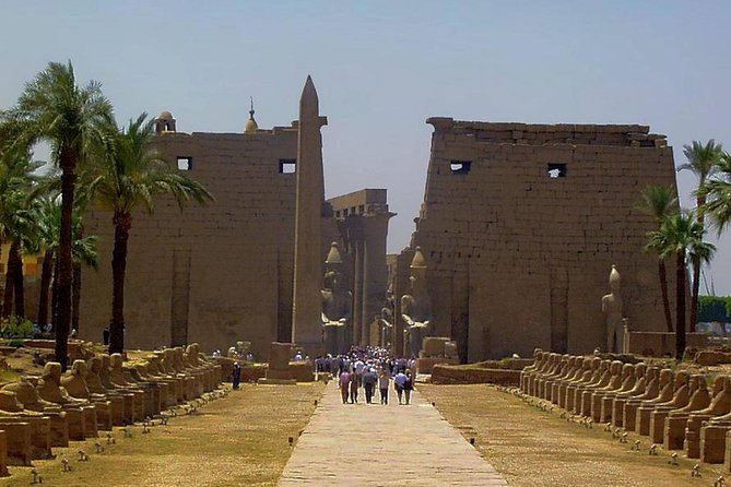 Half Day East Bank Tour to Luxor and Karnak Temples - Two East Bank temples in one focused morning