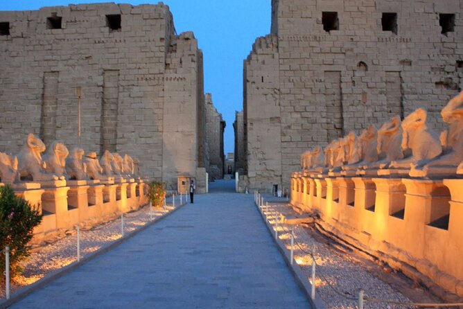 Half Day East Bank Tour to Luxor and Karnak Temples (Private) - Who will get the most from this tour