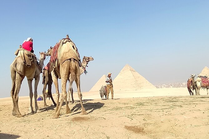 Half day Giza pyramids and Sphinx tour with an Egyptologist - What the Egyptologist adds