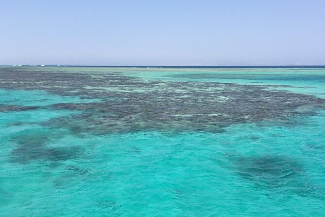 Half day snorkeling trip in Ras Mohammed Sharm El Sheikh - Guide quality and group size