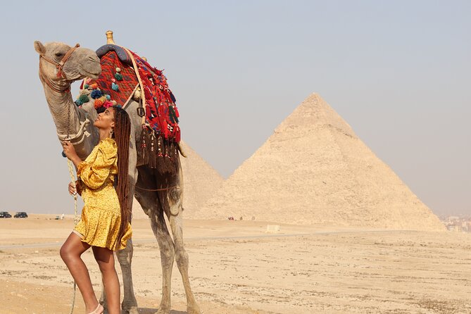 Half day tour in Giza pyramids , sphinx , panorama - Adding the Egyptian Museum changes the shape of the day