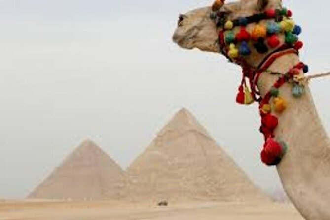 Half Day Tour To Giza Pyramids And Sphinx - What the $30 price really includes