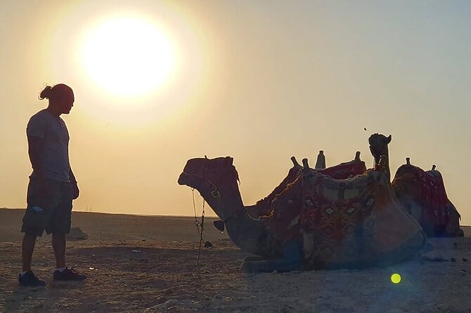 Half-day Trip to Pyramids and the Sphinx with Camel ride - Transport, timing, and the value of the $60 price