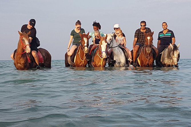 Horse Riding 3 Hours Beach, Desert, & Swimming By Horse in red sea - Hurghada - Along the beach with the Red Sea beside you