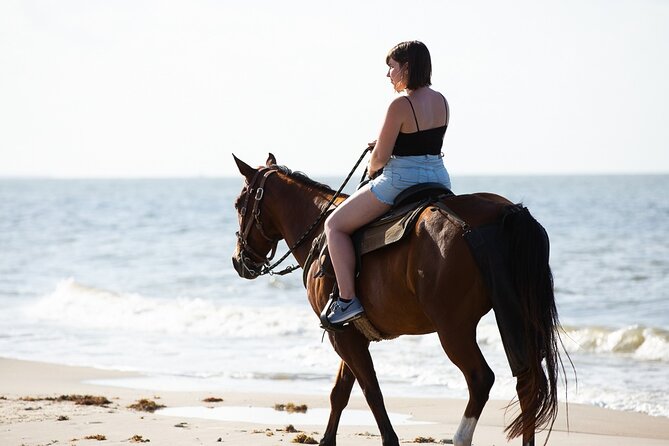 Horse Riding on the beach With Transfer From Sharm El Sheikh - The guide makes the biggest difference