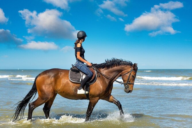 Horse Riding on the beach With Transfer From Sharm El Sheikh - Clothing, comfort, and small practical details
