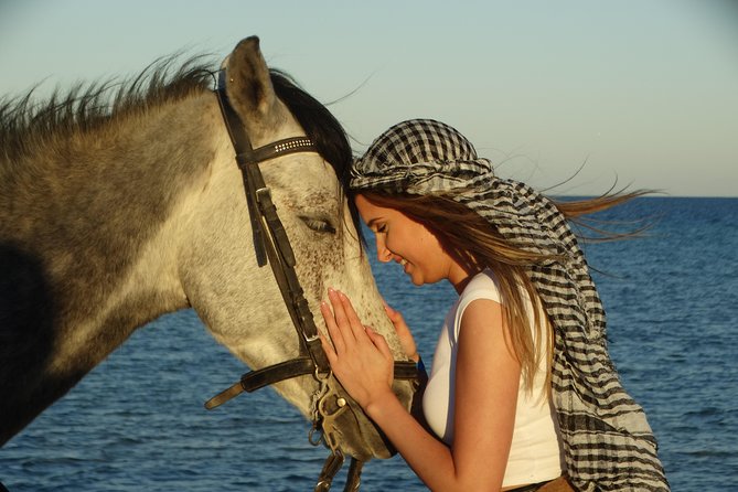 Horse Riding Tour 2 Hours on Sea And Desert & Transfer -Hurghada - The guides make the difference
