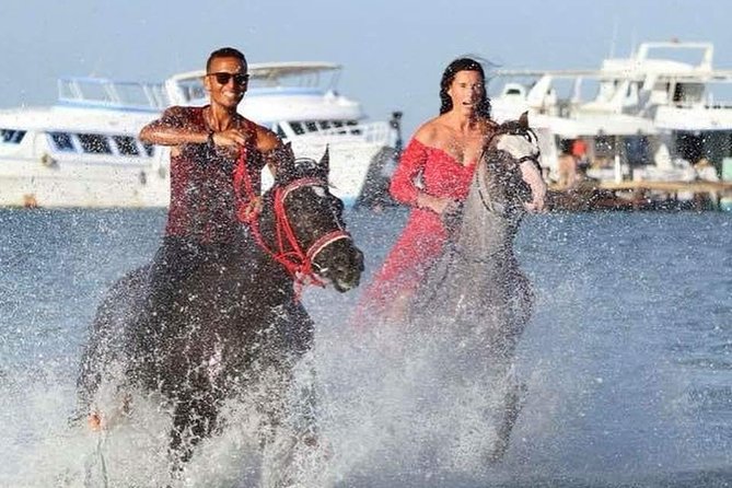Horse Riding Tour 2 Hours on Sea And Desert & Transfer -Hurghada - Horse welfare deserves your attention