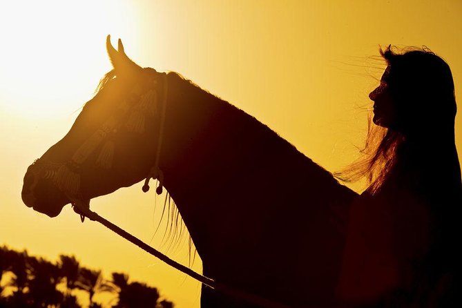 Horse Riding Tour 2 Hours on Sea And Desert & Transfer -Hurghada - Safety, helmets, and who can participate