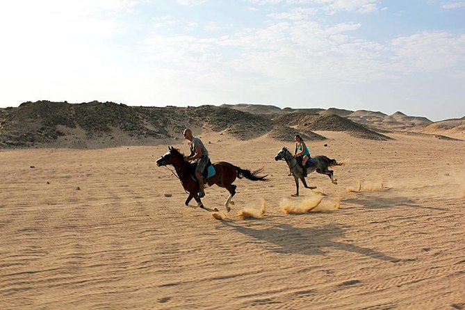 Horse Riding Tour 2 Hours on Sea And Desert & Transfer -Hurghada - Is $14 good value?