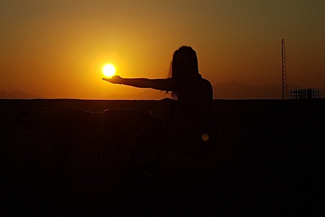 Horse Riding Tour 2 Hours Sea And Desert with Transfer - Hurghada - Key points to know before you ride