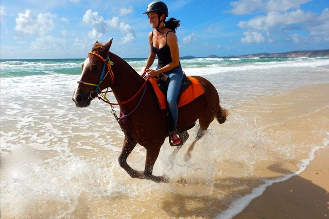 Horse Riding Tour 2 Hours Sea And Desert with Transfer - Hurghada - What this horseback tour really offers