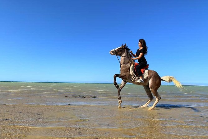 Horse Riding Tour 2 Hours Sea And Desert with Transfer - Hurghada - Getting comfortable with the horse and equipment