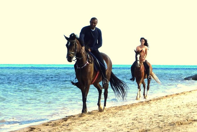 Horse Riding Tour 2 Hours Sea And Desert with Transfer - Hurghada - Crossing Hurghada’s desert on horseback