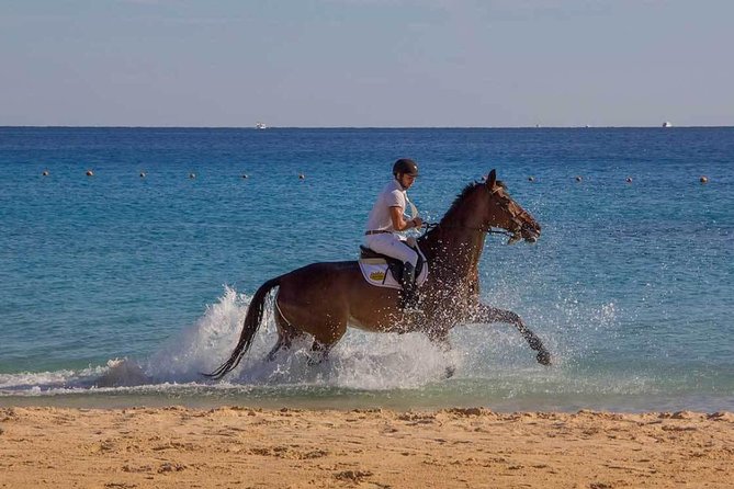 Horse Riding Tour 2 Hours Sea And Desert with Transfer - Hurghada - Guides, group atmosphere, and personal attention
