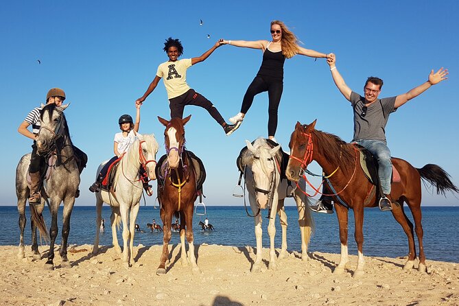 Horse Riding Tour 2 Hours Sea And Desert with Transfer - Hurghada - Is $15 good value for Hurghada?