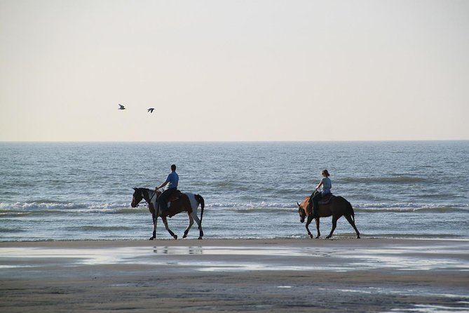 Horse Riding Tour 2 Hours Sea And Desert with Transfer - Hurghada - Leaving the hotel in an air-conditioned vehicle