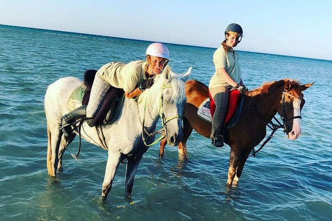 Horse Riding Tour Two Hours Sun & Sea With Transfer - Hurghada - The first hour through Hurghada’s desert