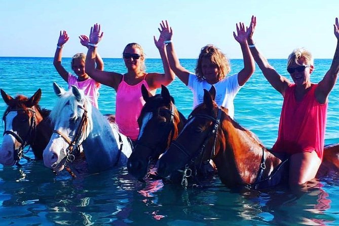 Horse Riding Tour Two Hours Sun & Sea With Transfer - Hurghada - Horses, staff, and the human side of the outing