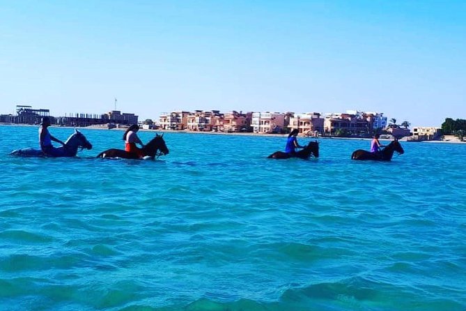 Horse Riding Tour Two Hours Sun & Sea With Transfer - Hurghada - Who should book this horse riding tour?