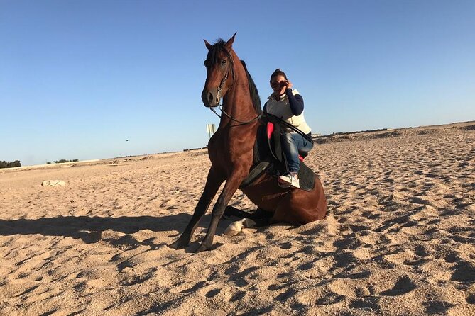 Horseback Riding with Pickup and Drop-off from Sharm El Sheikh - Riding from Sharm’s beach into the desert