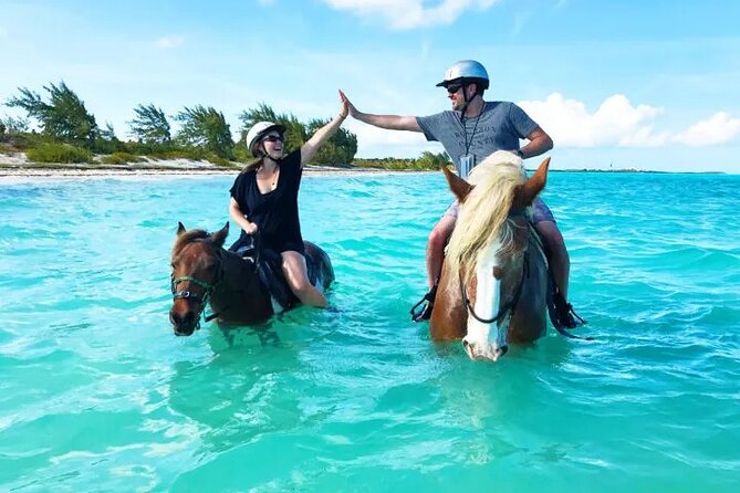 Horseback Riding with Pickup and Drop-off from Sharm El Sheikh - The beach route and time in the sea