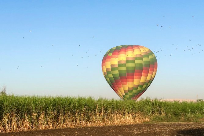 Hot Air Balloon Ride in Luxor Egypt with Transfers Included - Practical details that improve the morning