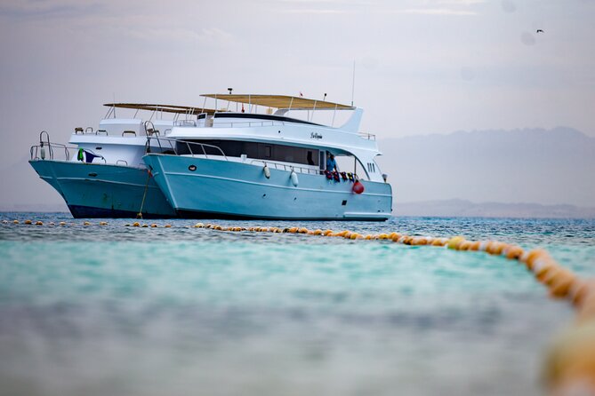 Hula Hula Island Snorkeling Sea Trip With Lunch - Hurghada - What the snorkeling stop is really like