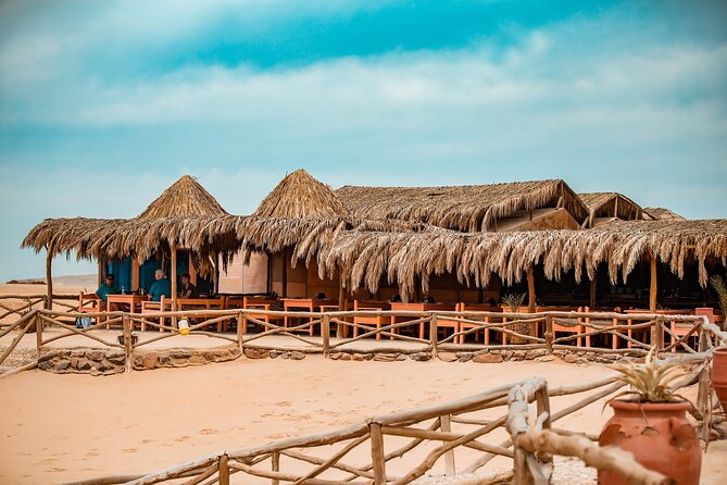 Hula Hula Island Snorkeling Sea Trip With Lunch - Hurghada - Lunch onboard, plus drinks
