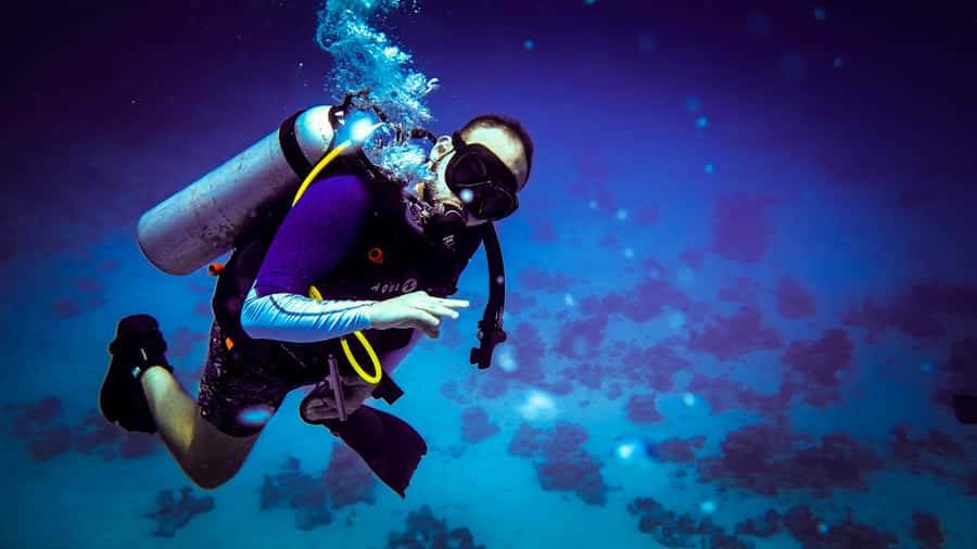 Hurghada: 1, 2, 3, 4, or, 5-Day Scuba Diving Package - Who should choose one day, and who should choose five?