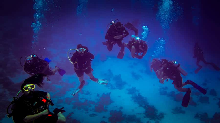 Hurghada: 1, 2, 3, 4, or, 5-Day Scuba Diving Package - What the strongest and weakest points tell you