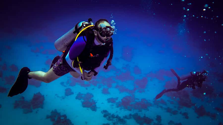 Hurghada: 1, 2, 3, 4, or, 5-Day Scuba Diving Package - What the boat day feels like