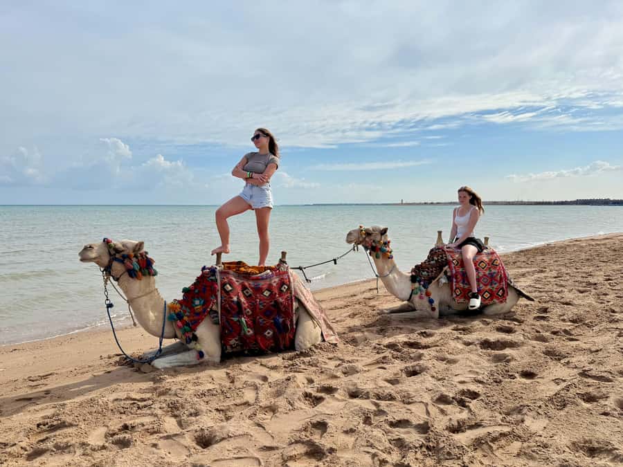 Hurghada: 1-Hour Desert & Beach Camel Ride with Transfers - What the $39 price covers