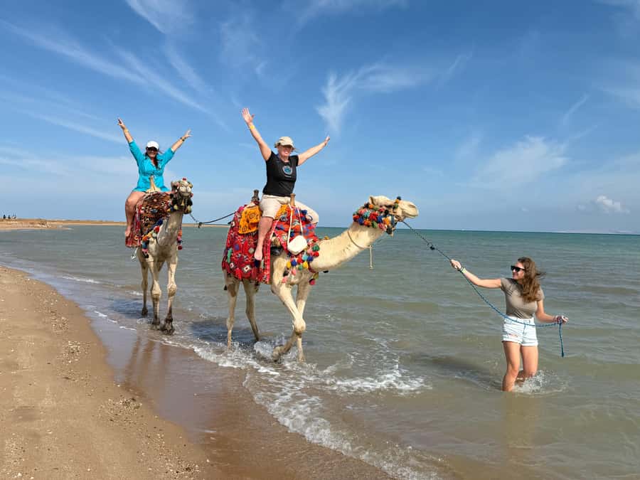 Hurghada: 1-Hour Desert & Beach Camel Ride with Transfers - Family comfort and first-time riding